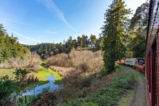 Skunk Train: Pudding Creek Express from Fort Bragg - Photo 1 of 6